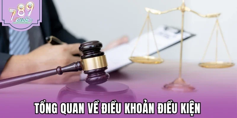 Tổng quan về chính sách điều khoản điều kiện