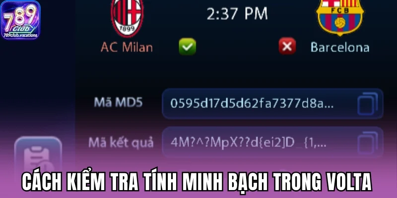 Cách kiểm tra tính minh bạch trong Volta 