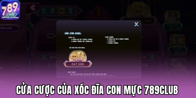 Cửa cược của xóc đĩa con mực 789Club
